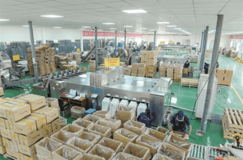 減產(chǎn)緣何反增收？一師阿拉爾市林果業(yè)高質(zhì)量發(fā)展技術(shù)開(kāi)發(fā)揭秘