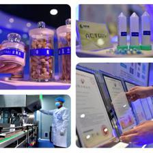 內蒙古技術開發全面開工，數字草原煥發新活力