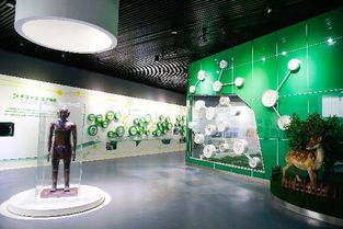 廣安攜手成都共建“雙飛地”園區，依托朋友圈優勢大力發展醫藥產業技術開發